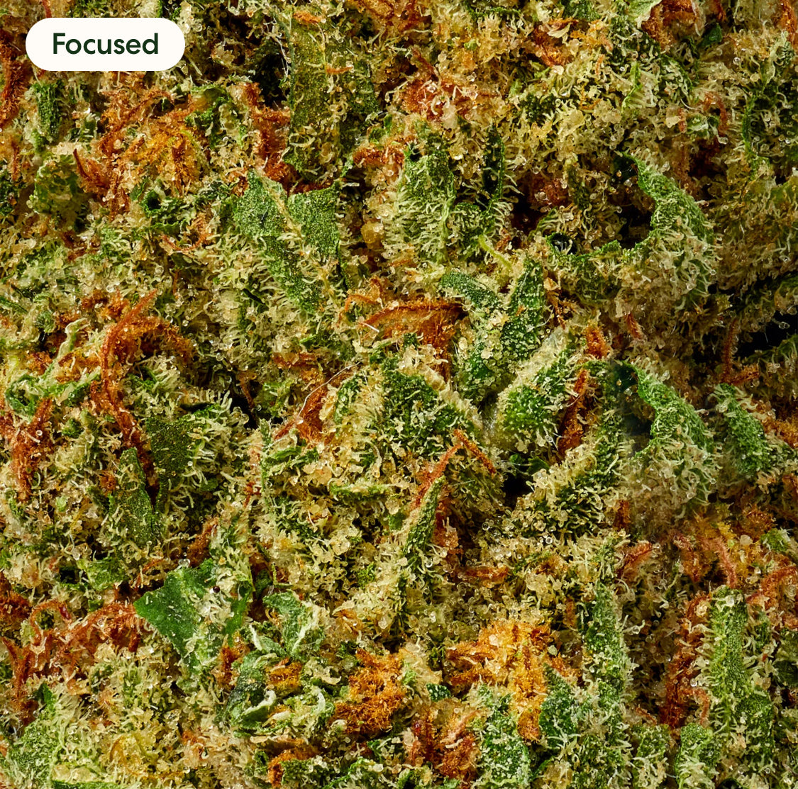 Super Lemon Haze 100% Legal THC Smoke, 26.47%, 1 oz