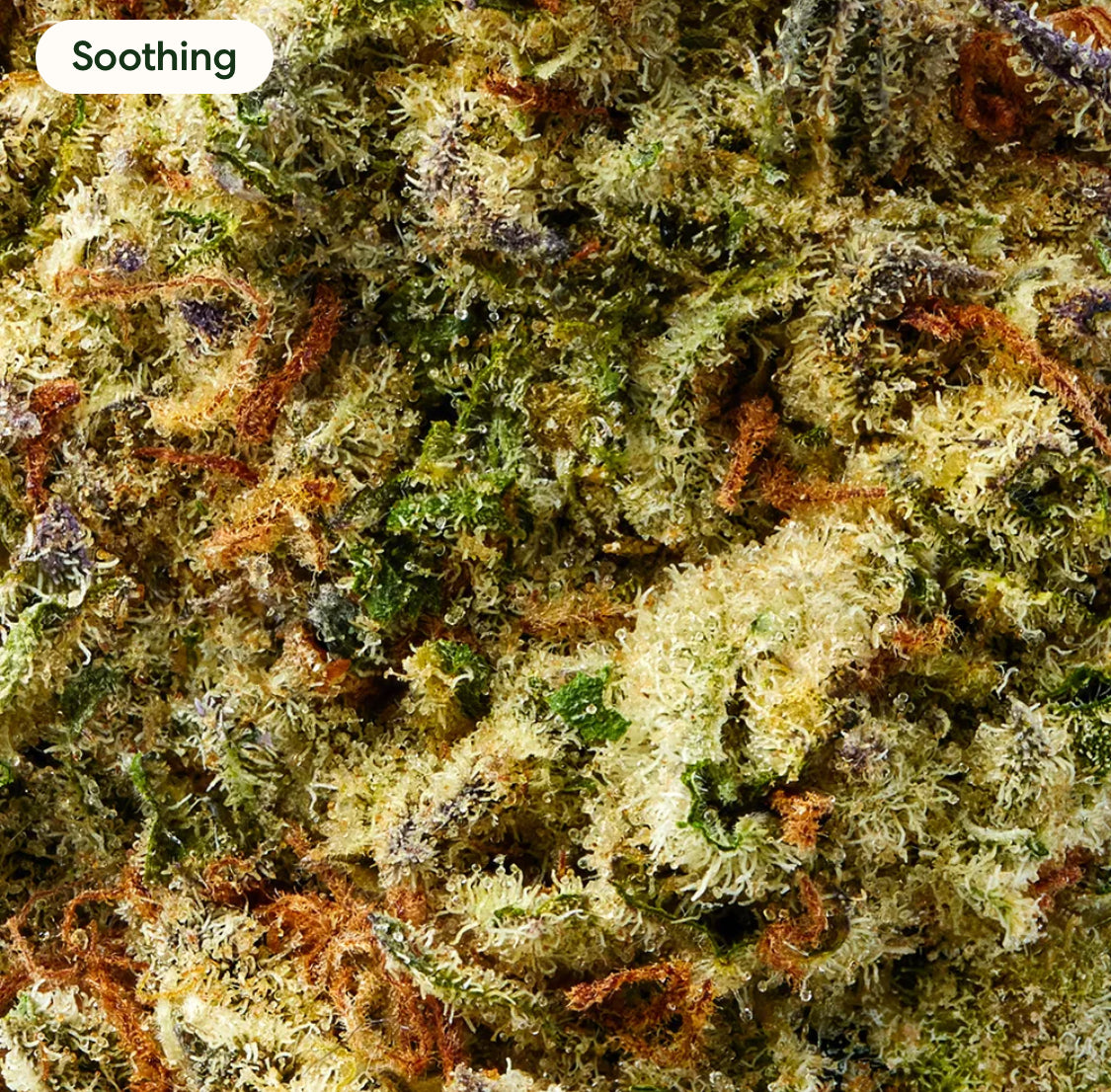 Birthday Cake 100% Legal THC Smoke, 20.74%, 1 oz