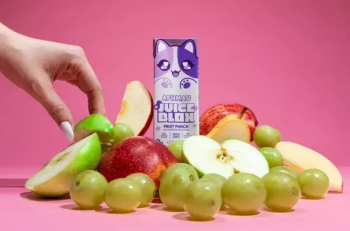 NEW! JuiceBlox Aphmau Fruit Punch Juice, 6.75 oz, 8 Ct, FREE EXPEDITED SHIPPING!