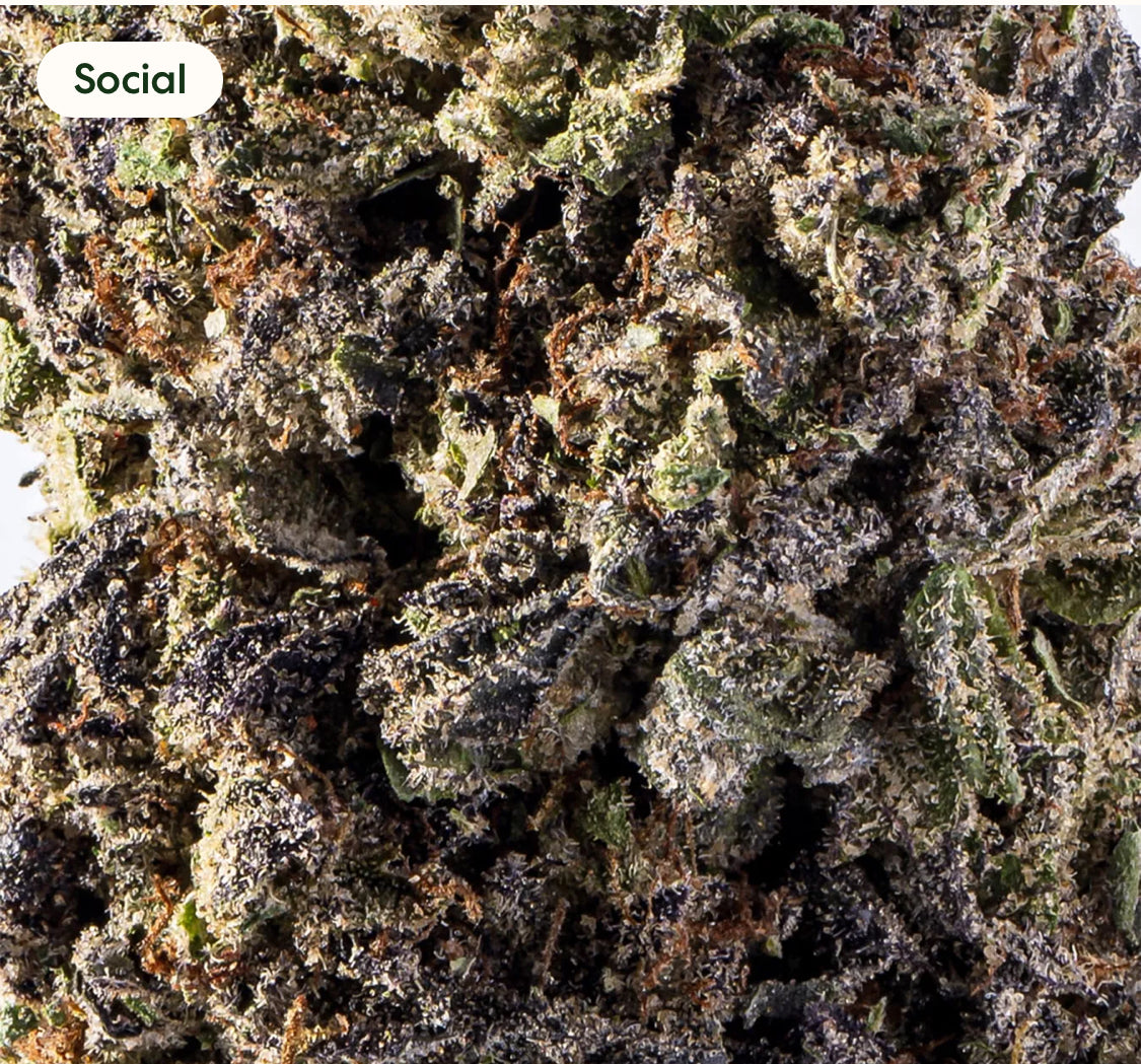 Jealousy 100% Legal THC Smoke, 20.84%, 1 oz