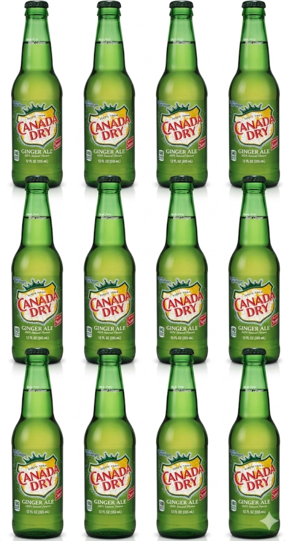 12 PACK! NEW! Canada Dry Ginger Ale, Made With Real Ginger & Sugar,12 oz Bottles