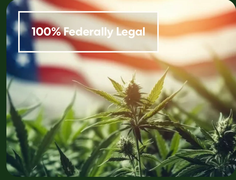 Tangie 100% Legal THC 28.89% Smoke, 1 oz, FREE SHIPPING!