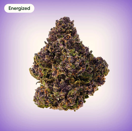 Tropicana Cherry Cookies 100% Legal THC Smoke, 1 oz