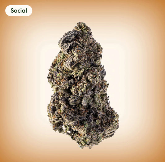 Jealousy 100% Legal THC Smoke, 20.84%, 1 oz