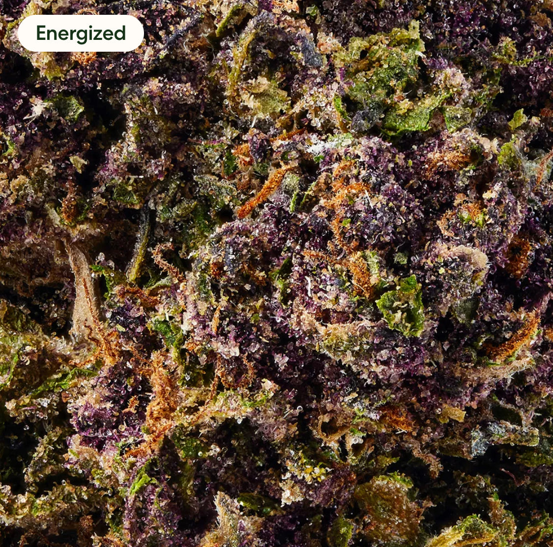 Tropicana Cherry Cookies 100% Legal THC Smoke, 1 oz