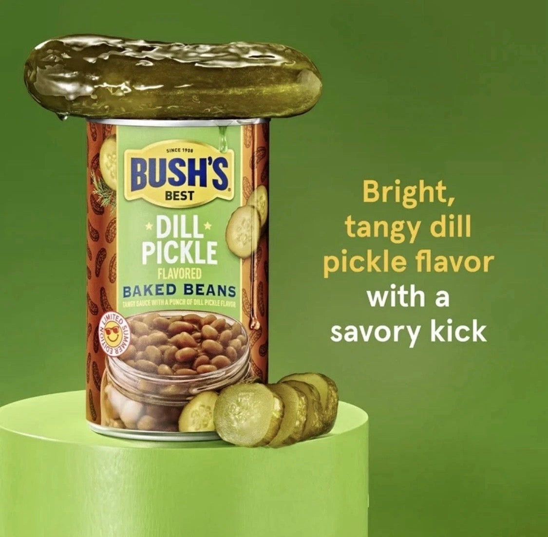 2 PACK! NEW! Bush’s Dill Pickle & Apple Pie Baked Beans,LIMITED TIME!
